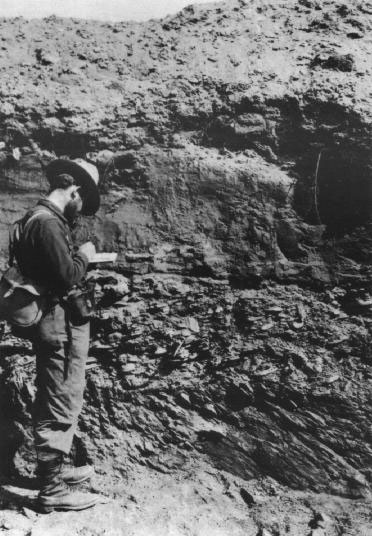 File:Geology A Survey Geologist in Nome Alaska.jpg